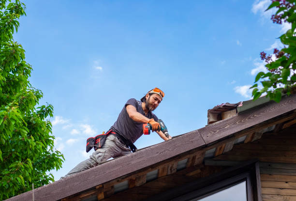 Best Skylight Installation and Repair  in Medina, MN