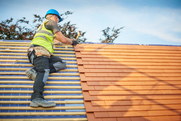 Best Roofing for New Construction  in Medina, MN